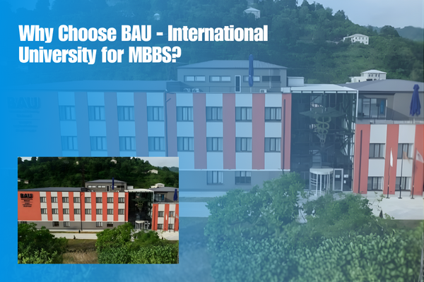 BAU - International University