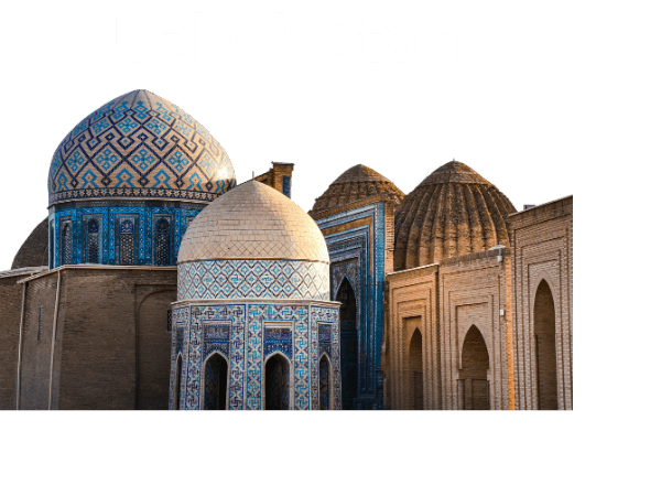 Study MBBS in Uzbekistan